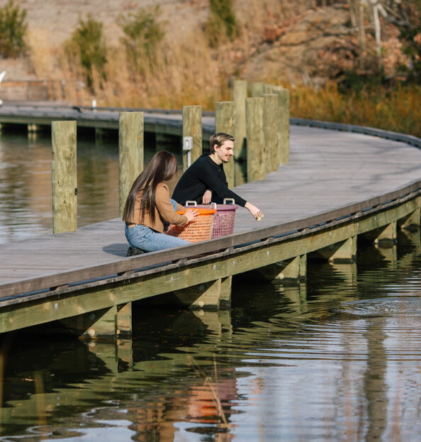 Ecology experiences at the Tides Inn